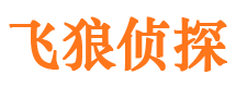 商州外遇出轨调查取证